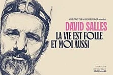 David Salles - La Vie est Folle et Moi Aussi