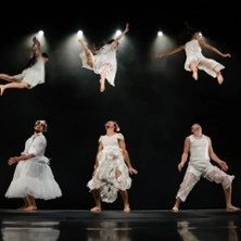 Orphées