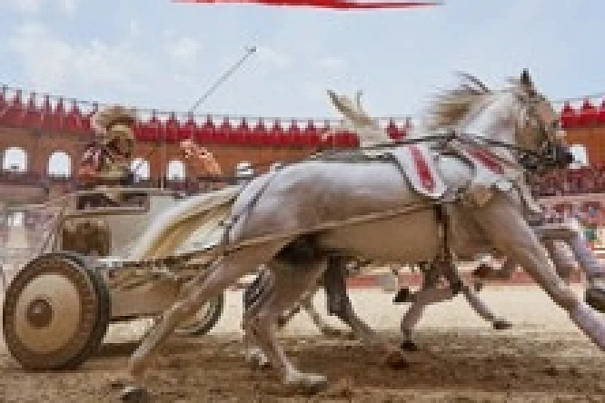 Puy du Fou - Billet Daté - 1 Jour