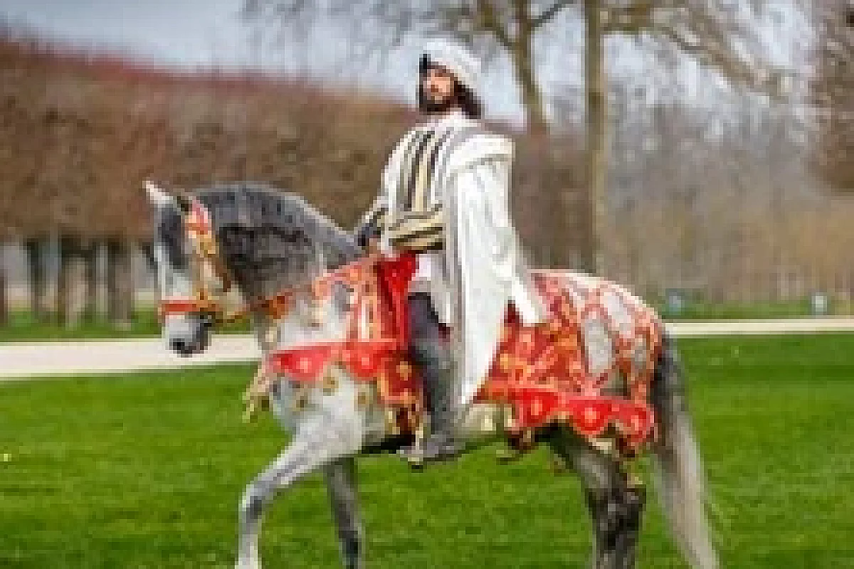 Spectacle Chevaux Domaine national de Chambord