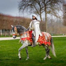 Spectacle Chevaux & Entrée Domaine national de Chambord