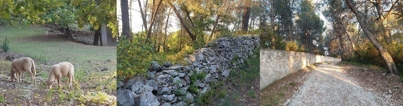 Randonnée commentée facile à la campagne aux portes de Marseille, 