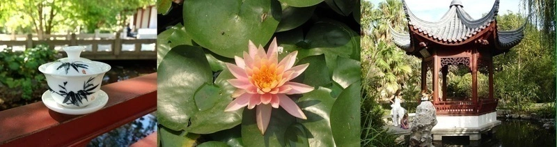 Balade au jardin botanique de Marseille sur le thème de la Chine 