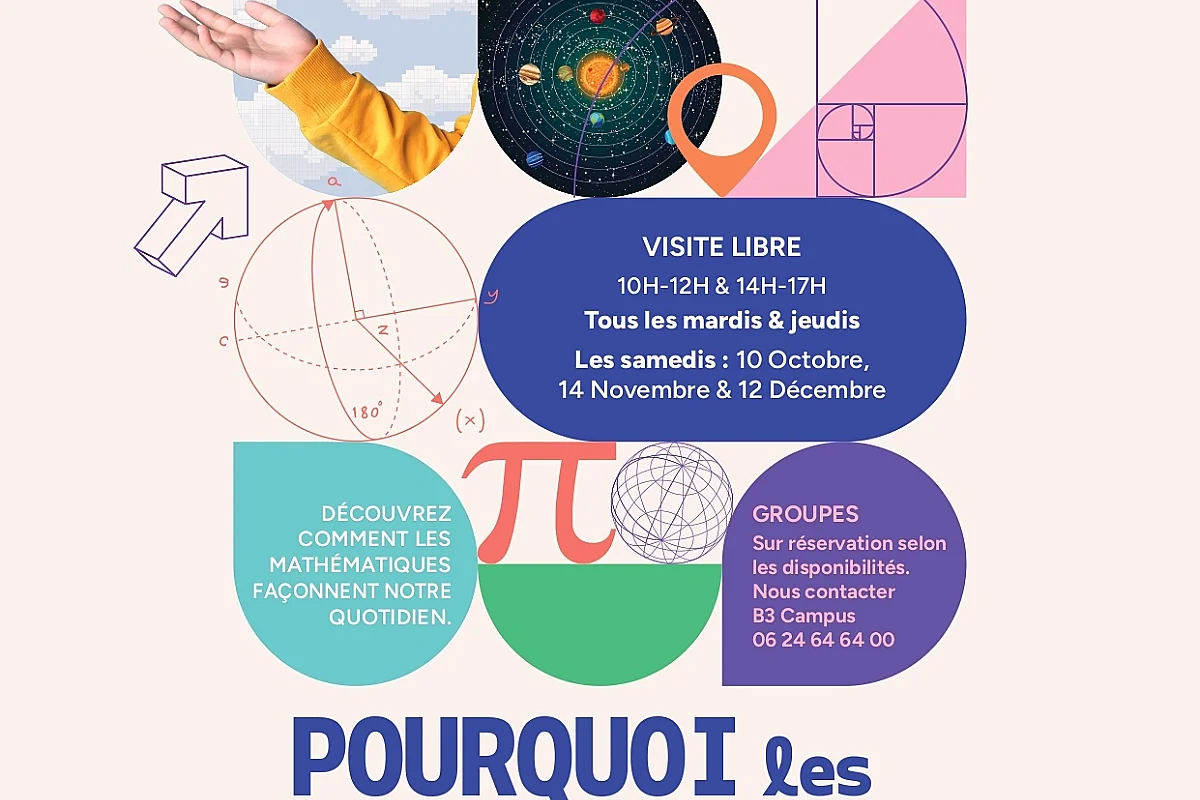 Pourquoi les mathématiques ?