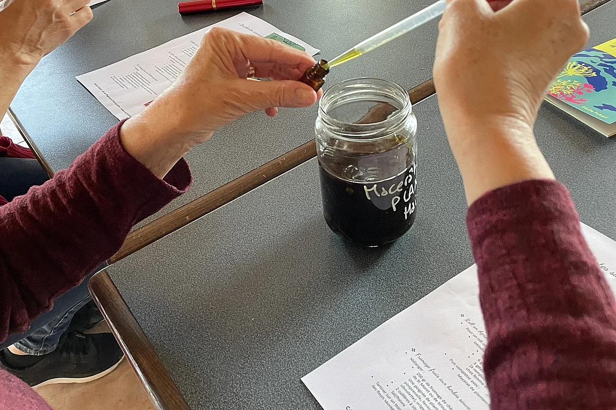Conf'atelier : plantes magiques, plantes de sorcières