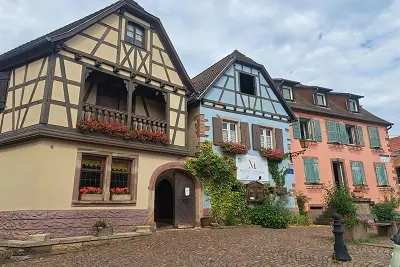 Découverte du métier de vigneron