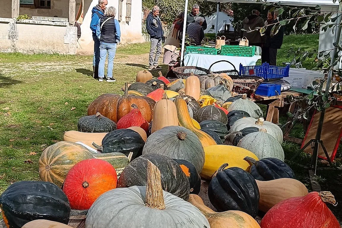 Fête de l'automne - Ferme du Parcot