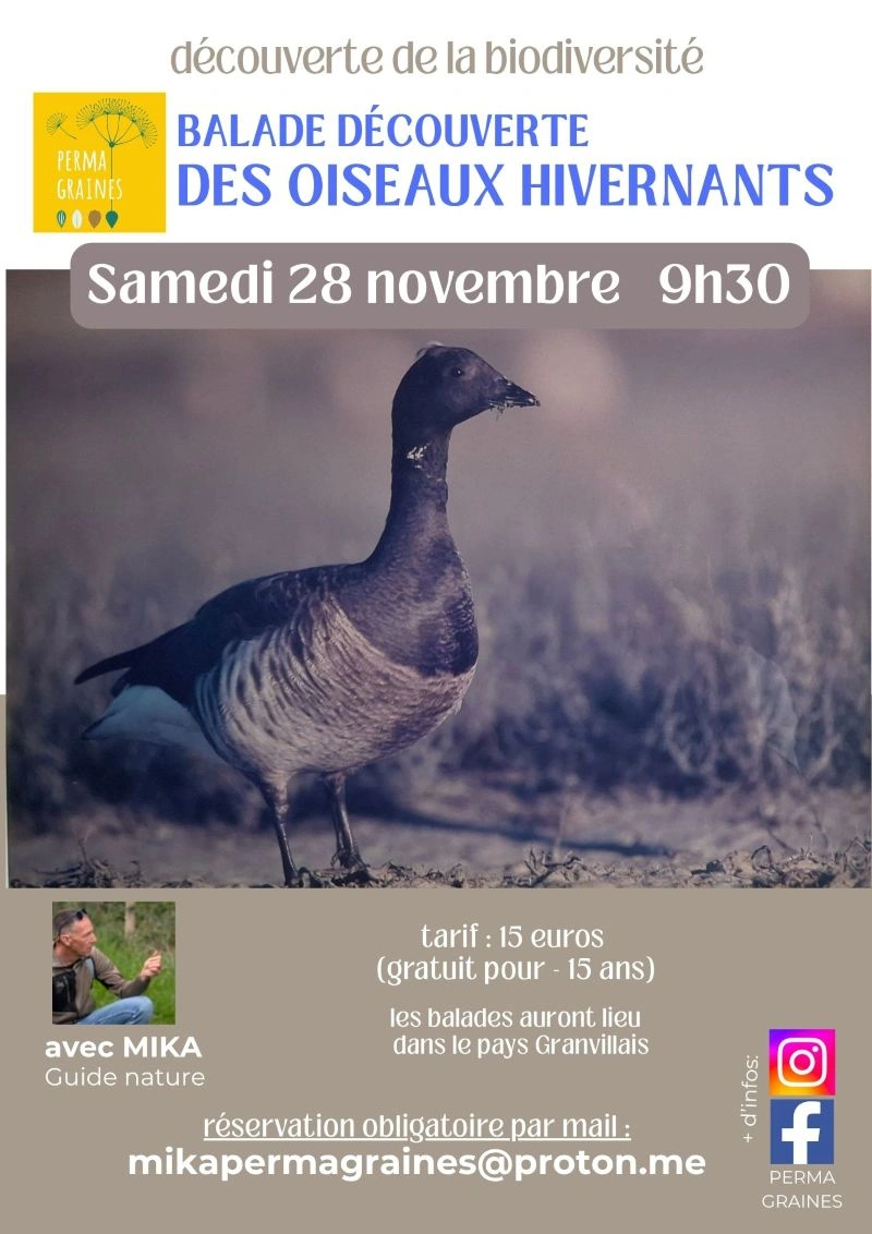 Balade découverte des oiseaux migrateurs du havre de la Vanlée
