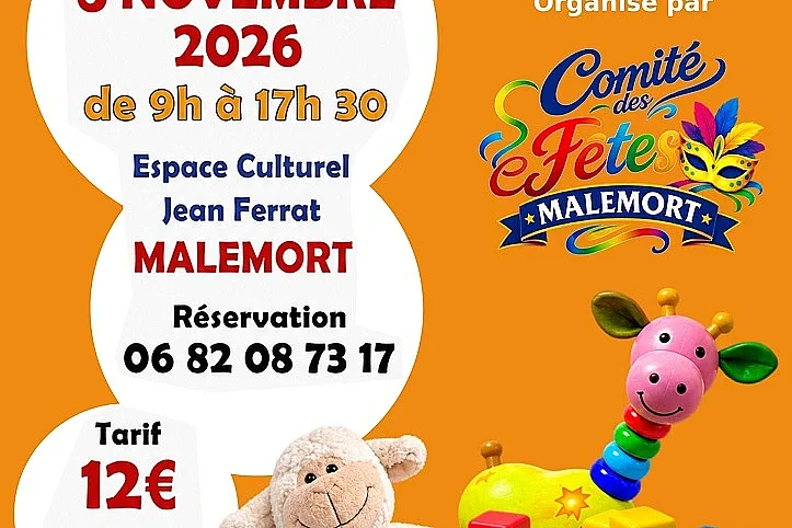 Vide coffre à jouets
