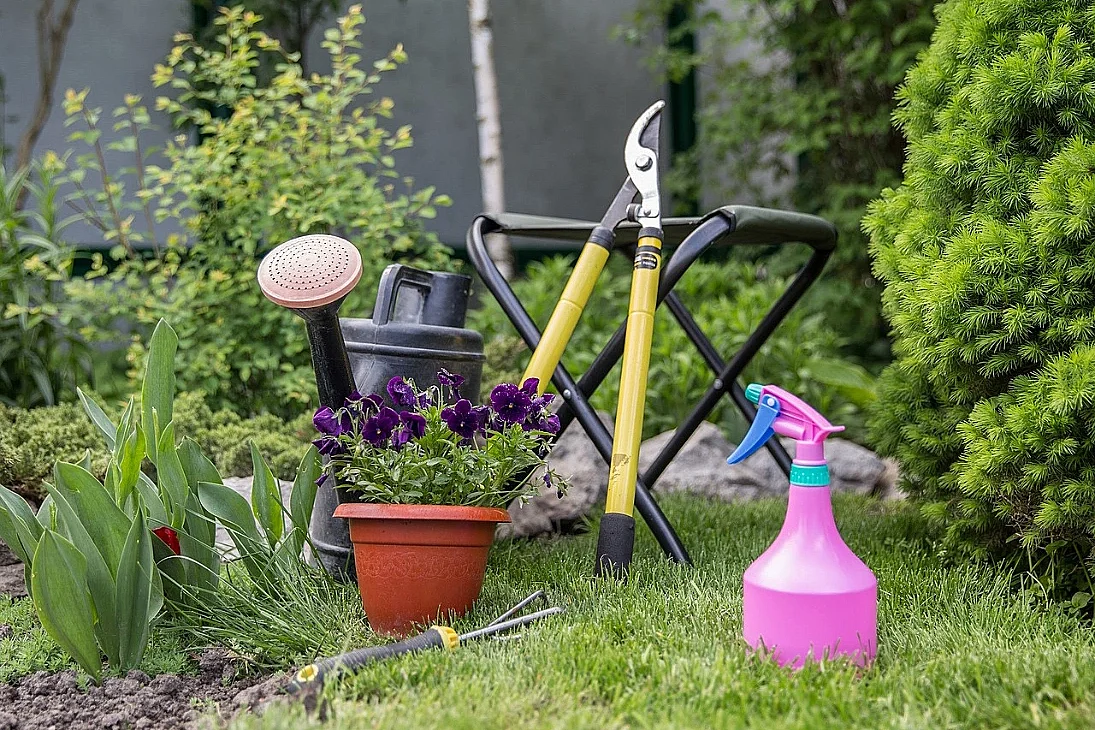 Troc plantes & graines