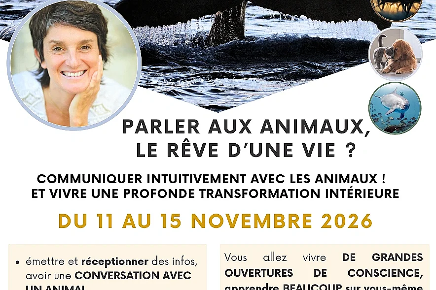 Formation en communication animale intuitive et transformation intérieure