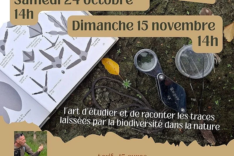 Balade découverte des traces et indices des animaux dans la nature