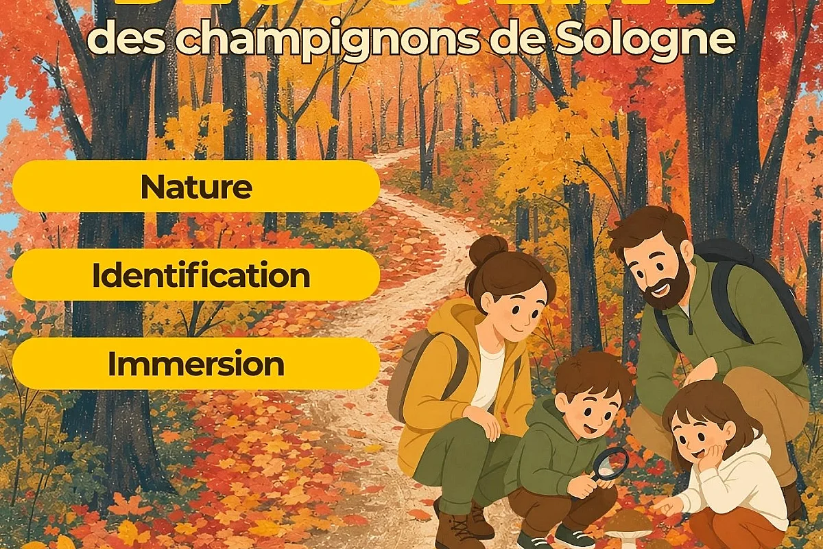Sortie Nature : balade découverte des champignons
