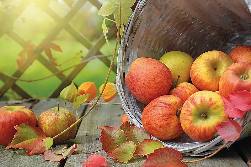 Fête de la pomme et de la châtaigne