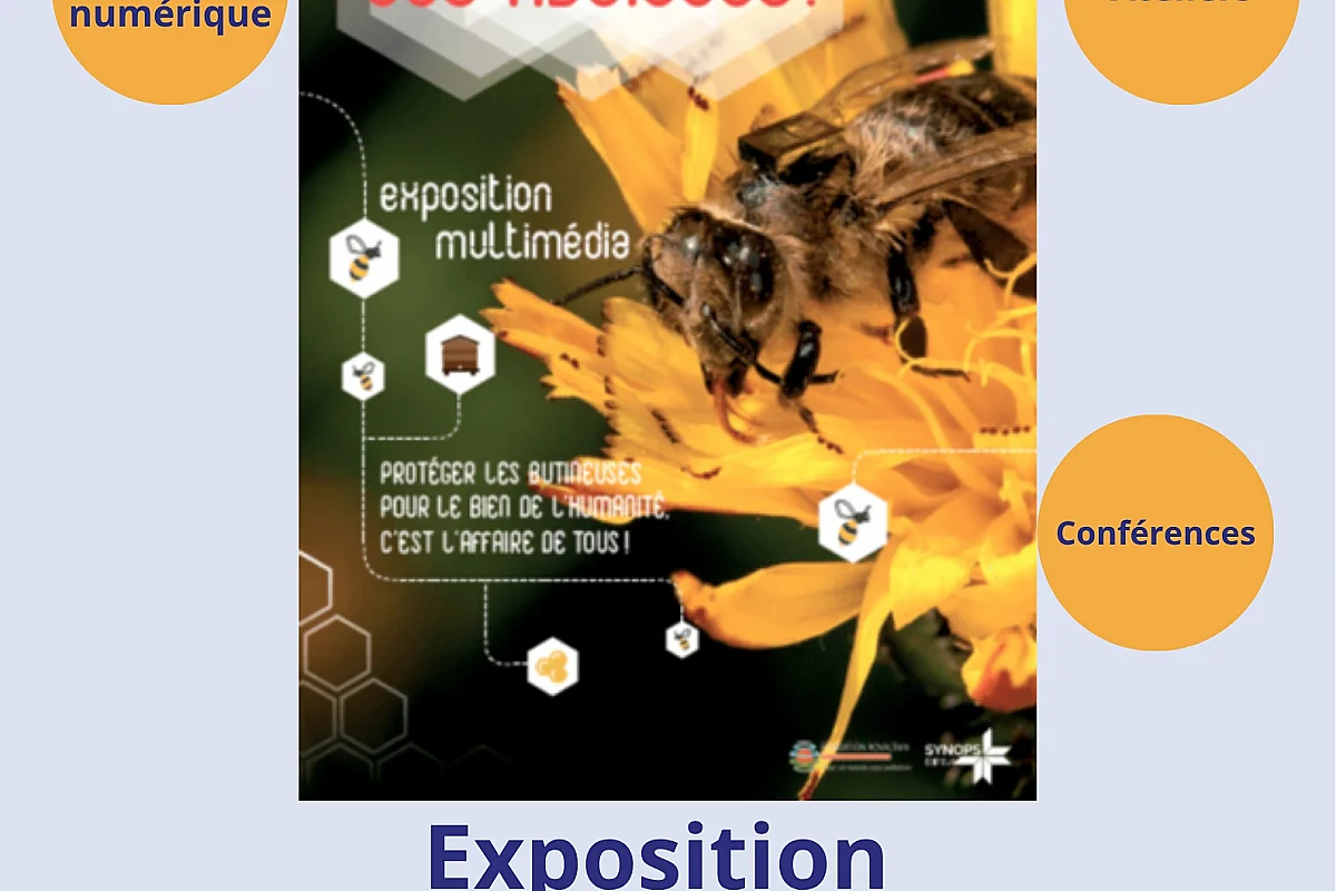 Exposition: "Sauvons les abeilles"