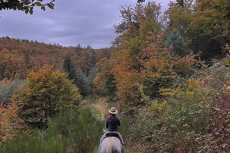 Balade à cheval automnale