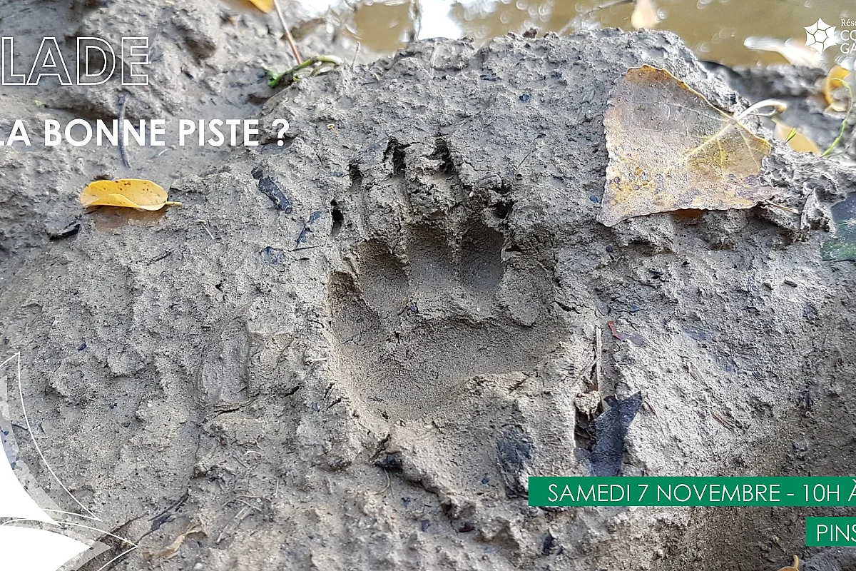 BALADE – SUR LA BONNE PISTE ?