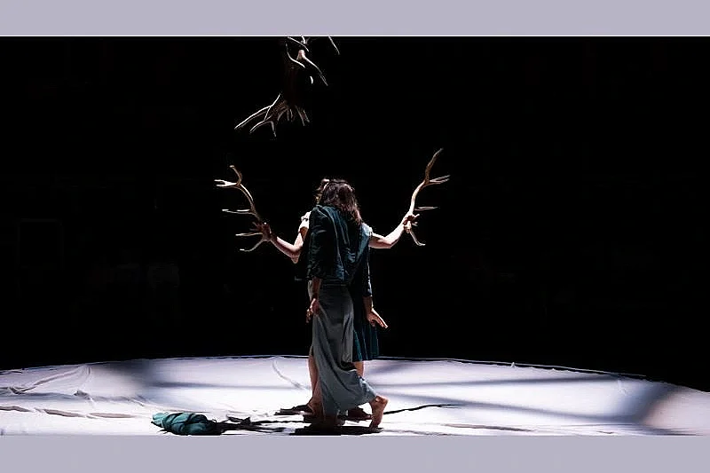 Faune avec la Cie Libertivore dans le cadre de La Nuit du Cirque