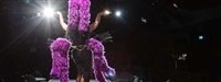 Cabaret Décibelles : Soirée Halloween