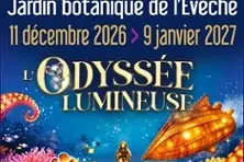 L'Odyssée Lumineuse Limoges - Billet daté