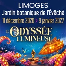 L'Odyssée Lumineuse Limoges - Billet daté