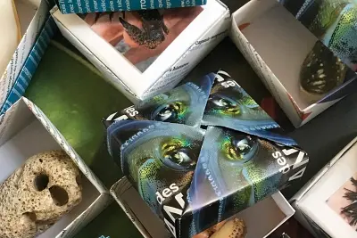 Petits jeux Muséum