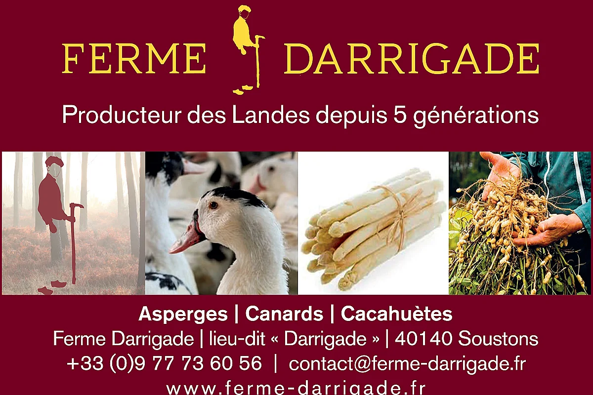 Canard, cacahuètes et asperges à la Ferme Darrigade