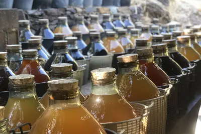 VISITE-DEGUSTATION A LA VINAIGRERIE LA GUINELLE