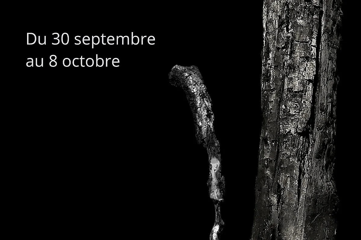 VESTIGES, MÉMOIRE D'UNE ÉTINCELLE