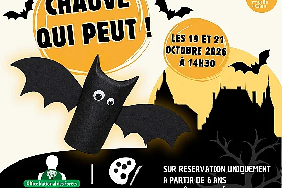 Animation/Atelier créatif : "Chauve qui peut !"
