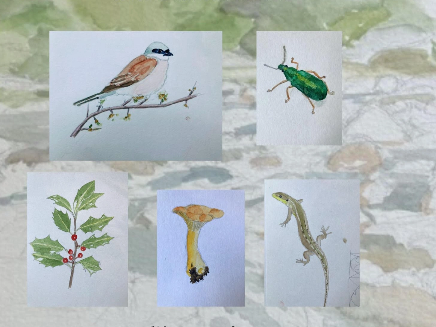 ATELIER DE DESSIN NATURALISTE