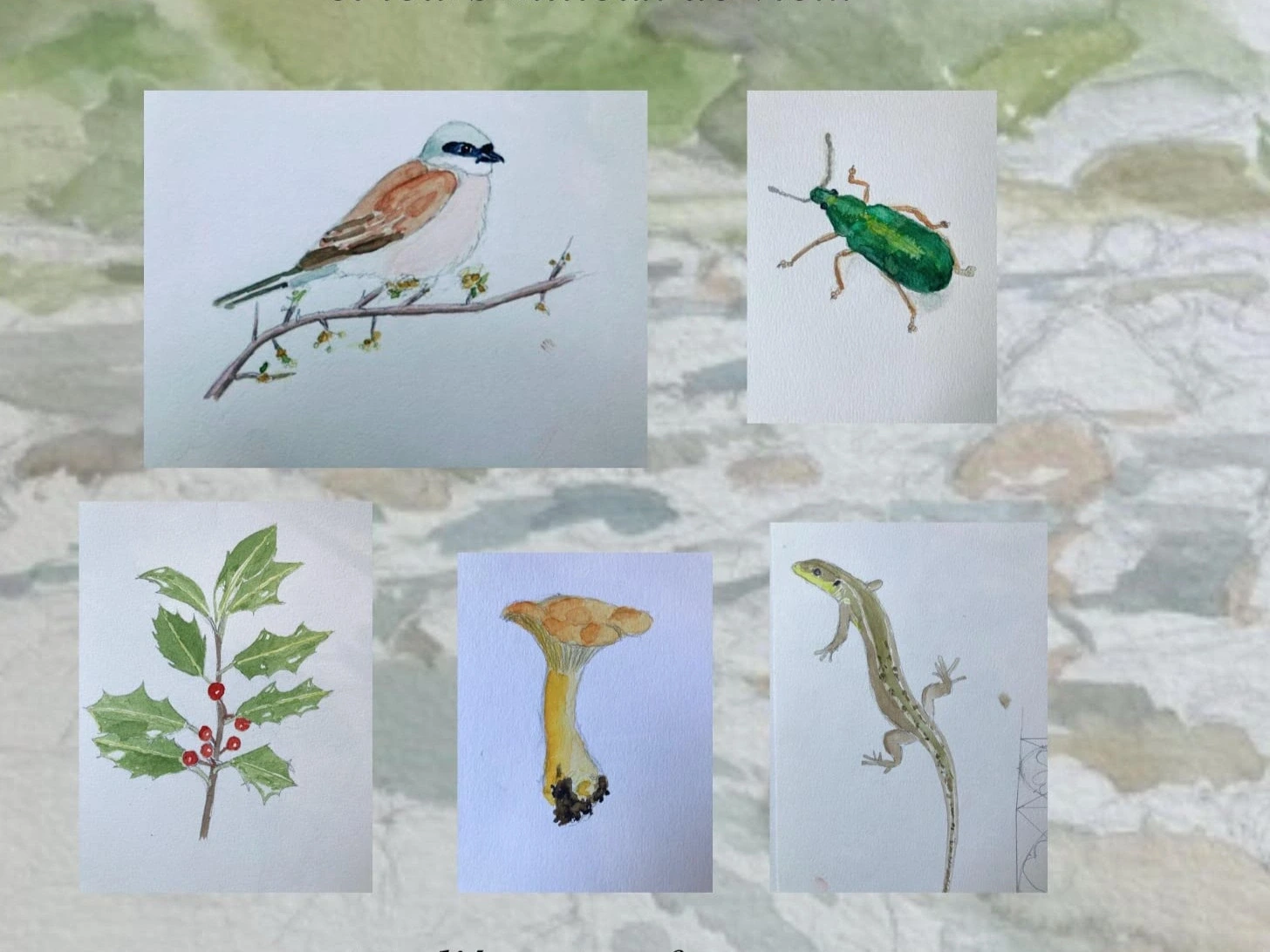 ATELIER DE DESSIN NATURALISTE