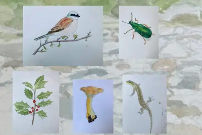 ATELIER DE DESSIN NATURALISTE
