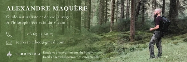 Fête des saisons autrement 1/8 ; Samhain