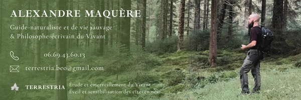 Fête des saisons autrement 1/8 ; Samhain