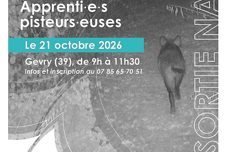 Sortie nature "Apprenti·e·s pisteurs·euses"