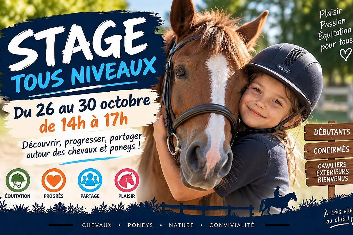 Stage d'équitation - Tous niveaux