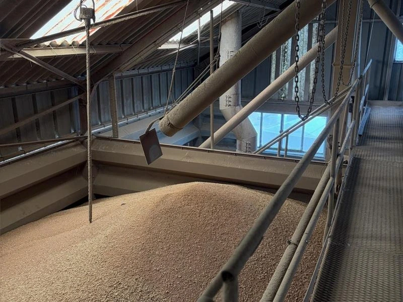 Visite au coeur du Moulin Burgraff-Becker