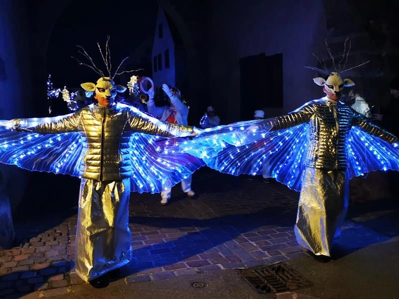Parade lumineuse de Noël