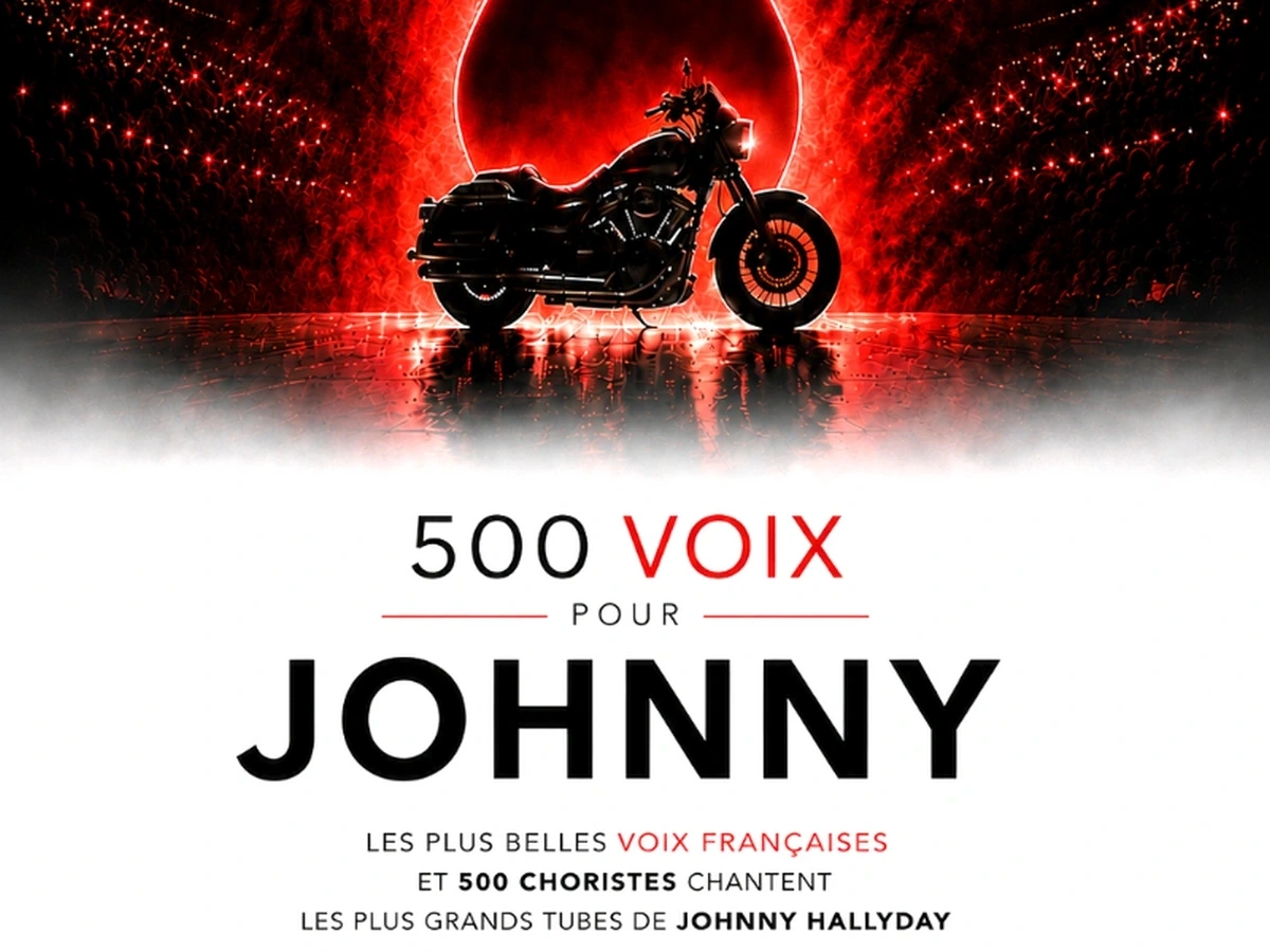 500 VOIX POUR JOHNNY - 10 ANS APRÈS
