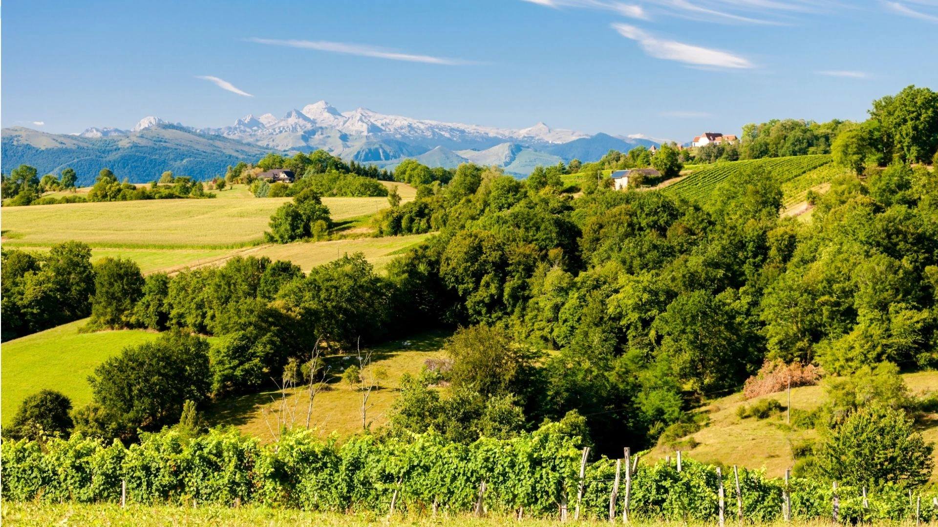 Evènement : Lacq-Orthez, terre de vin