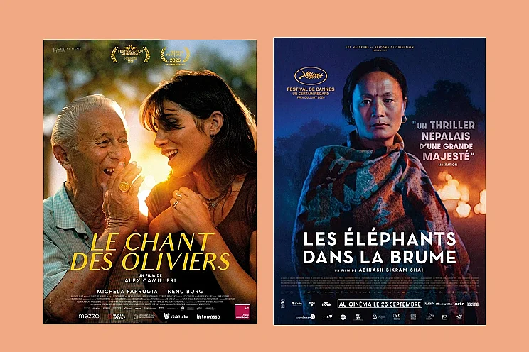 Soirée Cinéma d'Ailleurs