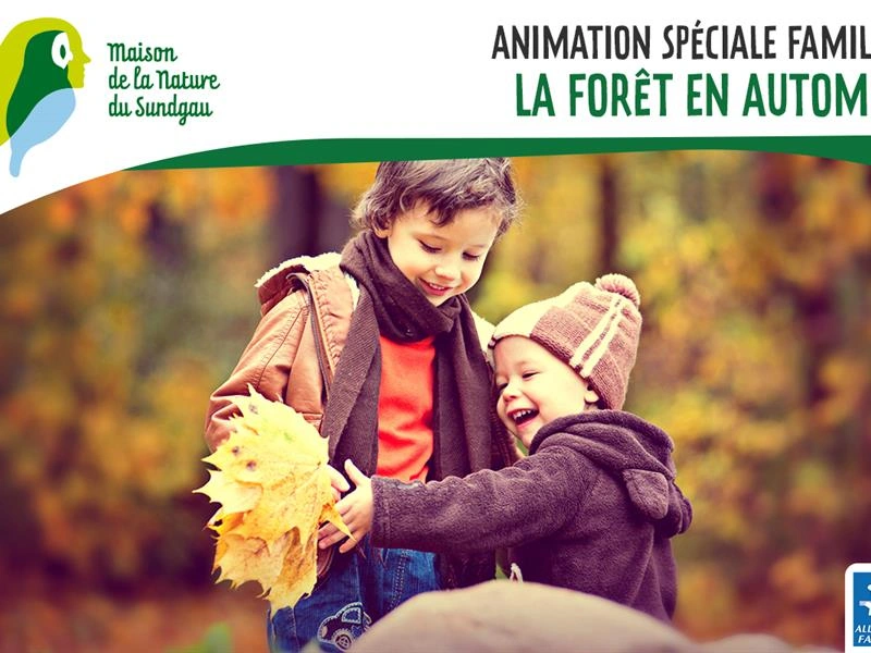 Animation spéciale familles - La forêt en automne - Dès 5 ans