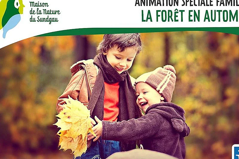 Animation spéciale familles - La forêt en automne - Dès 5 ans