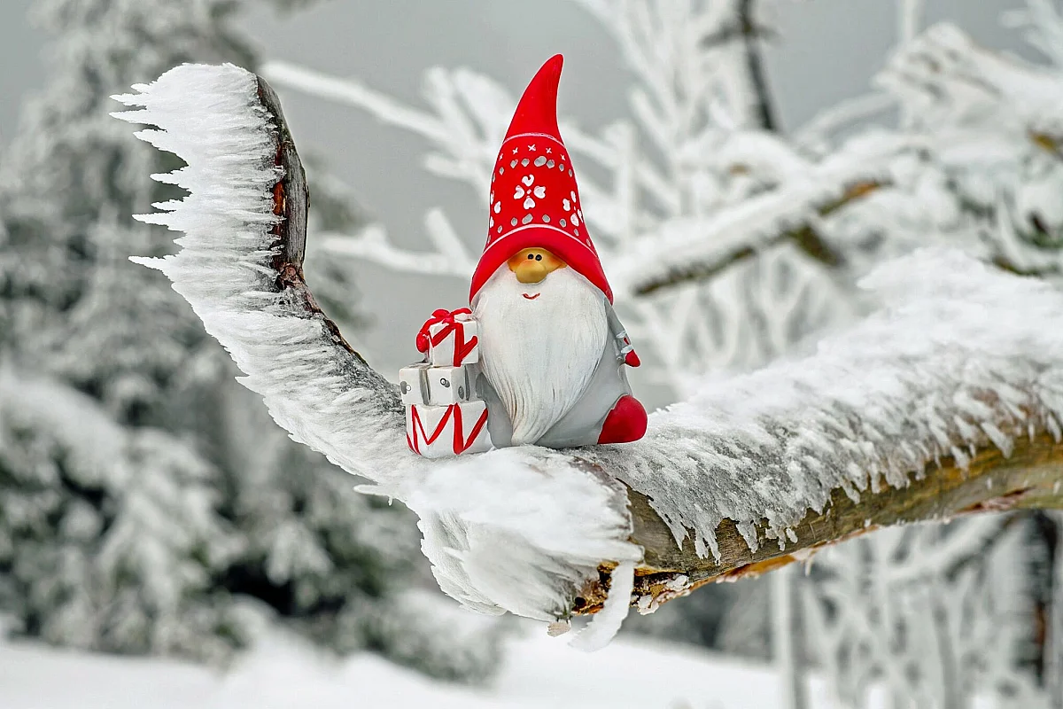 "L'Avent" des fêtes, "Réveillon" les livres  : Murmures Minuscules