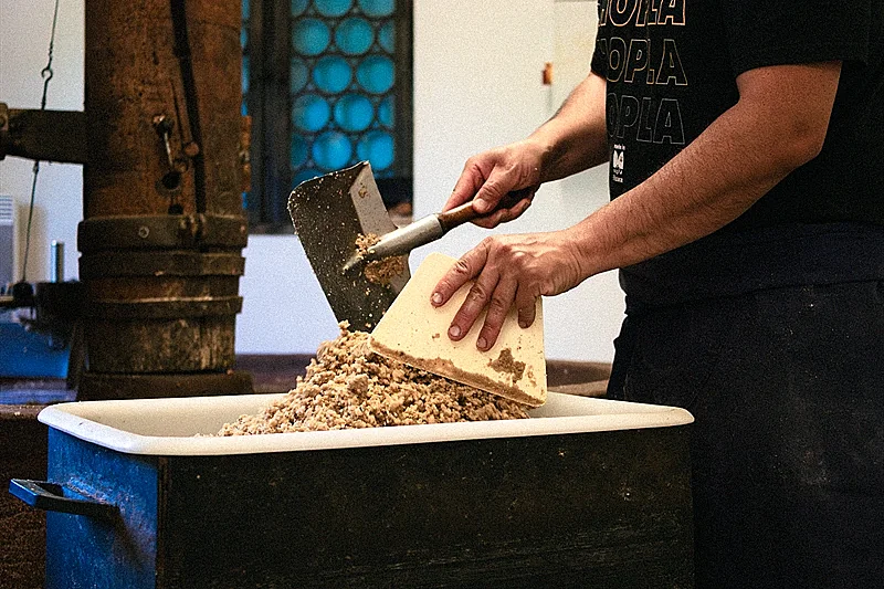 Visite de l'huilerie artisanale