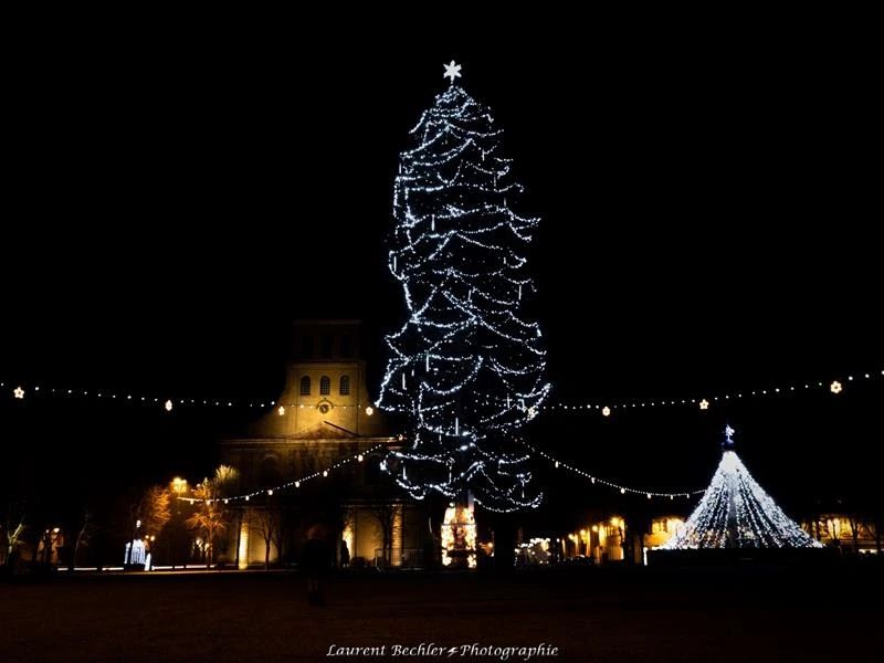 Illumination du sapin de Noël