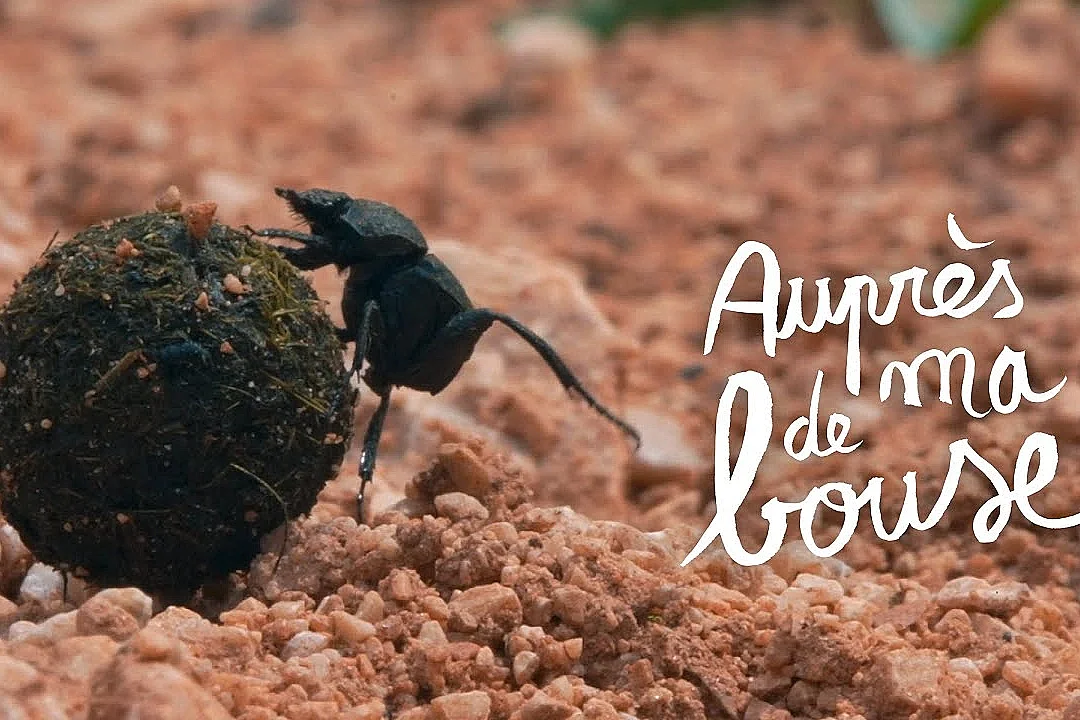 LE MOIS DU DOC : AUPRÈS DE MA BOUSE