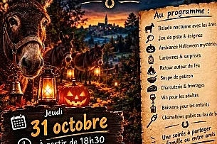 Le mystère des ânes de la nuit
