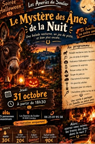 Le mystère des ânes de la nuit